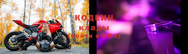 дмт Костерёво