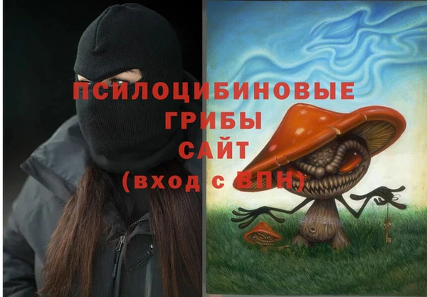 соль курить ск Коряжма