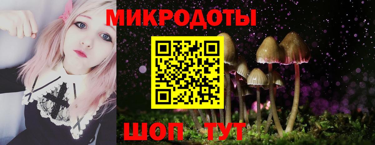 Псилоцибиновые грибы GOLDEN TEACHER Благовещенск
