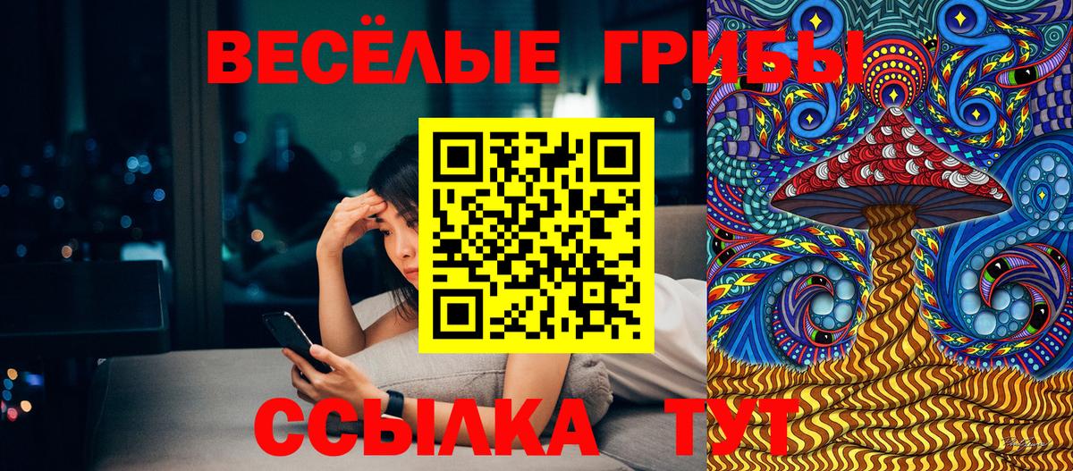 Псилоцибиновые грибы ЛСД Благовещенск