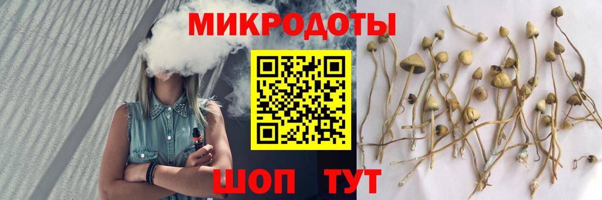 Псилоцибиновые грибы GOLDEN TEACHER  Благовещенск  наркота  Галлюциногенные грибы Cubensis 